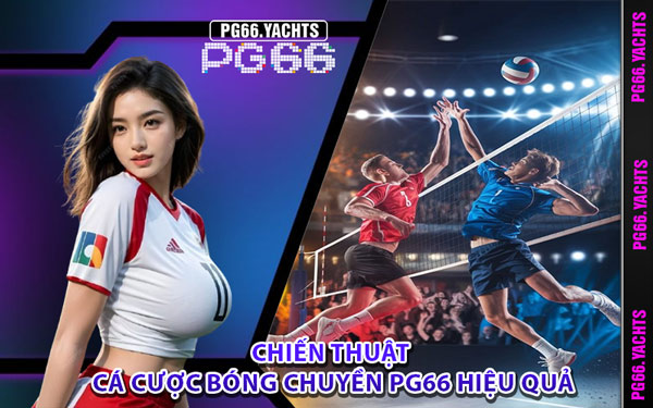 Chiến Thuật Cá Cược Bóng Chuyền PG66 Hiệu Quả