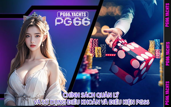 Chính Sách Quản Lý Và Sử Dụng Điều Khoản Và Điều Kiện PG66