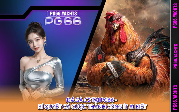 Đá Gà C2 Tại PG66 - Bí Quyết Cá Cược Thành Công Ít Ai Biết