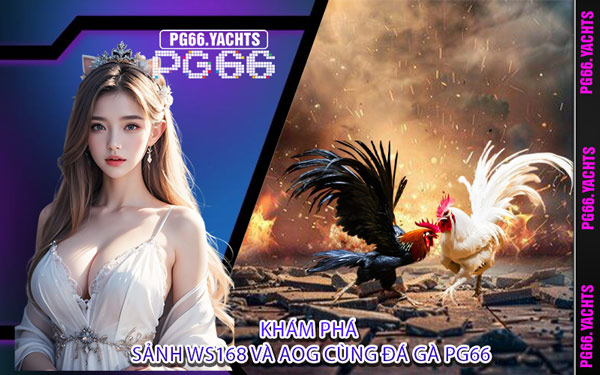 Khám Phá Sảnh WS168 Và AOG Cùng Đá Gà PG66