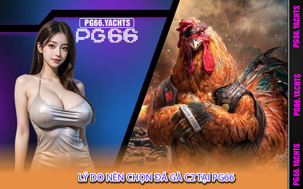 Lý Do Nên Chọn Đá Gà C2 Tại PG66