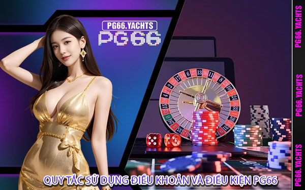 Quy Tắc Sử Dụng Điều Khoản Và Điều Kiện PG66