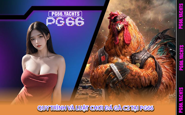 Quy Trình Và Luật Chơi Đá Gà C2 Tại PG66