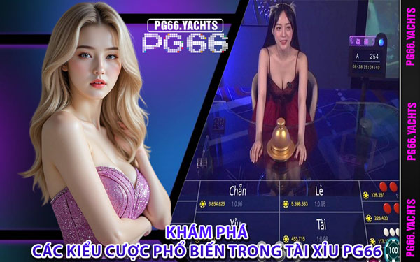 Khám Phá Các Kiểu Cược Phổ Biến Trong Tài Xỉu PG66