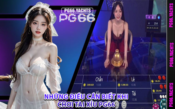 Những Điều Cần Biết Khi Chơi Tài Xỉu PG66