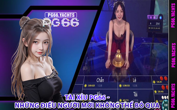 Tài Xỉu PG66 - Những Điều Người Mới Không Thể Bỏ Qua
